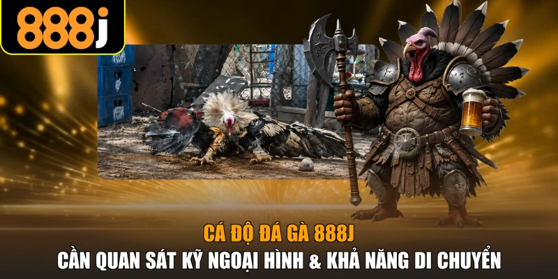 Cá độ đá gà 888j cần quan sát kỹ ngoại hình & khả năng di chuyển
