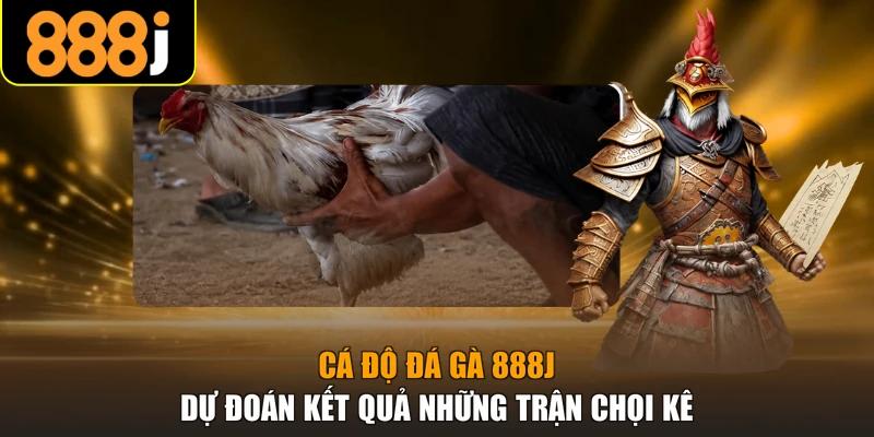 Cá độ đá gà 888j dự đoán kết quả những trận chọi kê