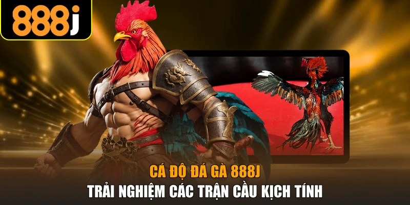 cá độ đá gà 888j