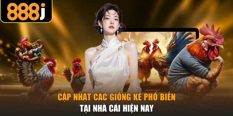 Cập nhật các giống kê phổ biến tại nhà cái hiện nay