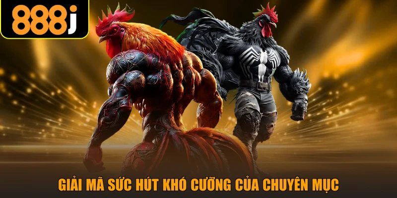 Giải mã sức hút khó cưỡng của chuyên mục