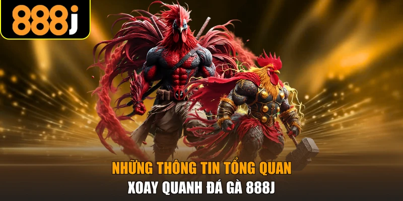 Những thông tin tổng quan xoay quanh đá gà 888J